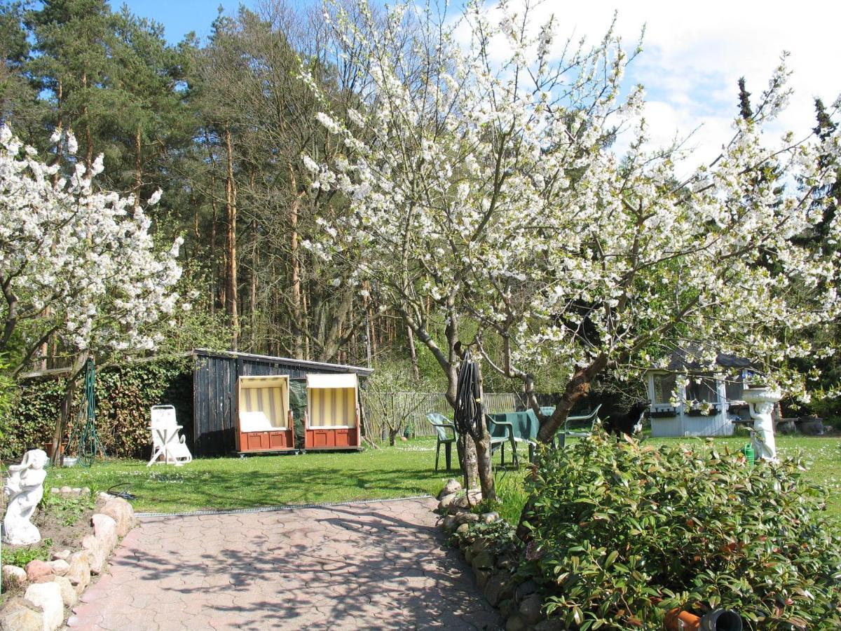 Uni - Luebeck Appartement Groß Grönau Екстериор снимка